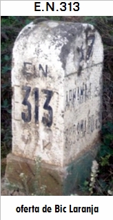 E.N. 313 - Portela - Alvaes do Tanha - Vilarinho dos Freires - Peso da Rgua - Valdigem - Parada do Bispo
 - Fontelo - Armamar - Travanca - So Martinho das Chs - So Cosmado - Sarzedo - E.N.226